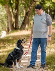Hundeschule ZUHAUSE – Hundetrainer Andreas Stettler
